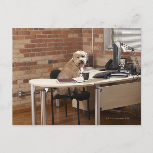 Dog-sessie op bureau briefkaart (Voorkant)