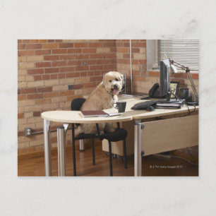 Dog-sessie op bureau briefkaart