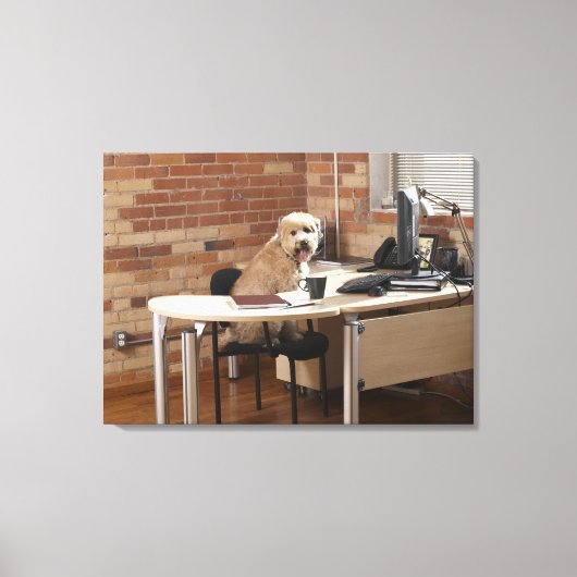 Dog-sessie op bureau canvas afdruk (Voorkant)