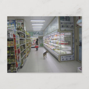 Dog shopping briefkaart