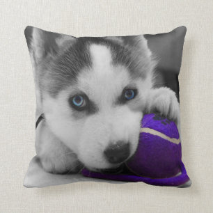 Dog Sierkussen