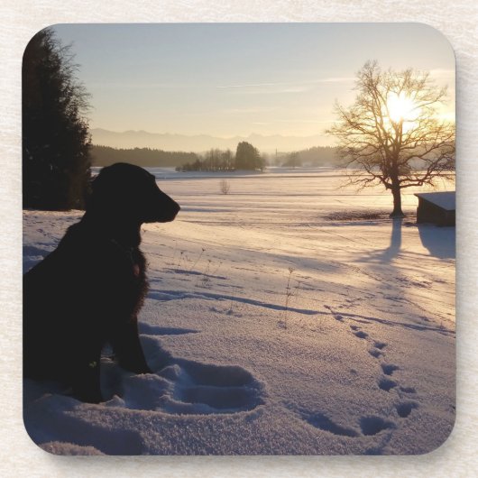 Dog Silhouette in Snowy Landscape Bier Onderzetter (Voorkant)