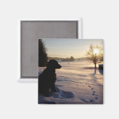 Dog Silhouette in Snowy Landscape Magneet (Voorkant / Achterkant)