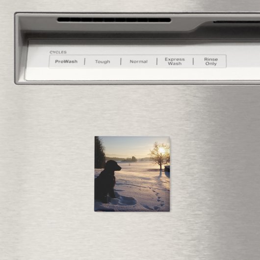 Dog Silhouette in Snowy Landscape Magneet (Insitu (Vaatwasser))