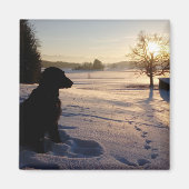 Dog Silhouette in Snowy Landscape Magneet (Voorkant)