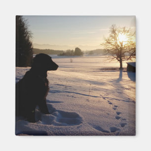 Dog Silhouette in Snowy Landscape Magneet