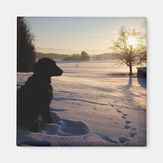 Dog Silhouette in Snowy Landscape Magneet (Voorkant)