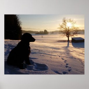 Dog Silhouette in Snowy Landscape Poster