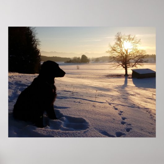 Dog Silhouette in Snowy Landscape Poster (Voorkant)