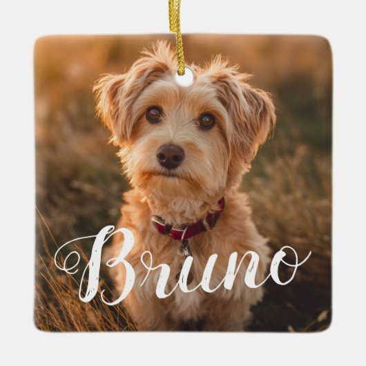 Dog Simple Name Christmas Script Ornament (Voorkant)