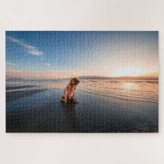 Dog sitting on the beach  legpuzzel