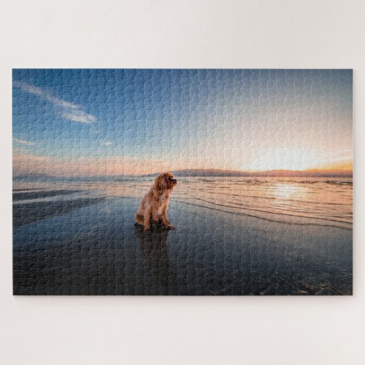 Dog sitting on the beach  legpuzzel (Horizontaal)