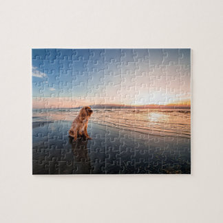Dog sitting on the beach legpuzzel