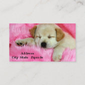 Dog Sitting Visitekaartje (Achterkant)