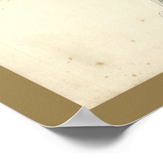 Dog Skeleton Botten Veterinary Anatomy Print (Hoek)