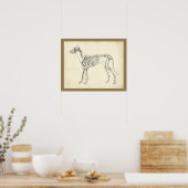 Dog Skeleton Botten Veterinary Anatomy Print (Keuken)
