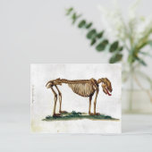  Dog Skeleton Briefkaart (Staand voorkant)