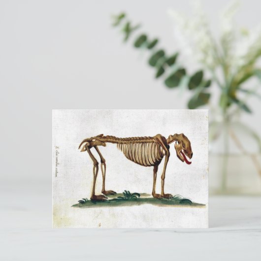  Dog Skeleton Briefkaart (Staand voorkant)