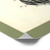 Dog Skeleton Spinale kolomspieren Anatomie Afdrukk Poster (Hoek)