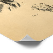 Dog Skeletspieren Anatomie 1908 afdrukken Poster (Hoek)