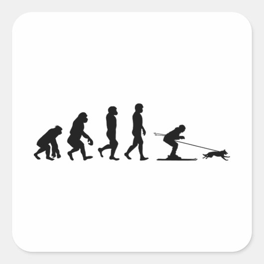 Dog Skijoring Extreme Winter Sport Ski Evolution Vierkante Sticker (Voorkant)
