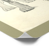 Dog Skull Legs Skelet Muskelet Anatomie Afdrukken Poster (Hoek)