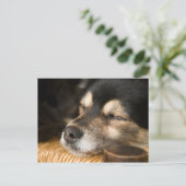 Dog slapen 2 briefkaart (Staand voorkant)