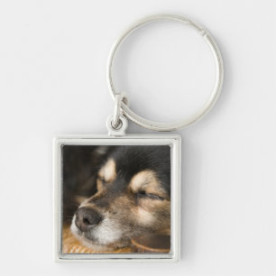 Dog slapen 2 sleutelhanger