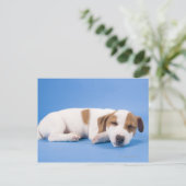Dog slapen briefkaart (Staand voorkant)