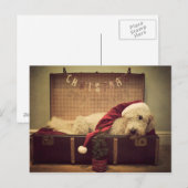 Dog slapen in koffer feestdagenkaart (Voorkant / Achterkant)