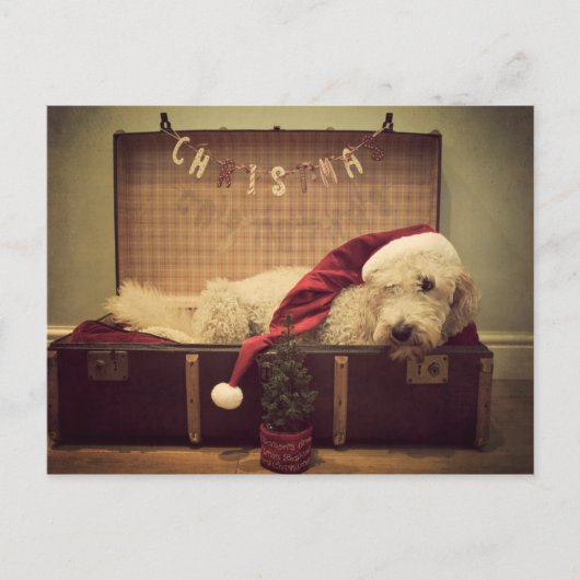 Dog slapen in koffer feestdagenkaart (Voorkant)