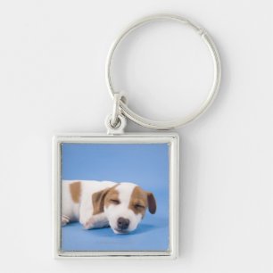Dog slapen sleutelhanger