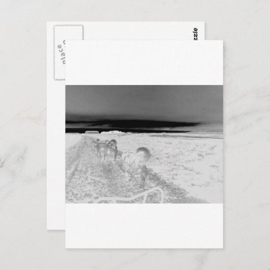 Dog Slaping Briefkaart (Voorkant / Achterkant)