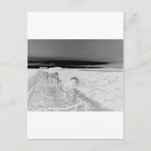 Dog Slaping Briefkaart