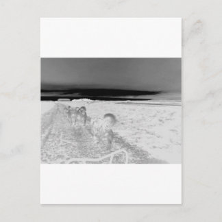 Dog Slaping Briefkaart