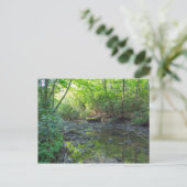 Dog Slaughter Creek, Kentucky Briefkaart (Staand voorkant)