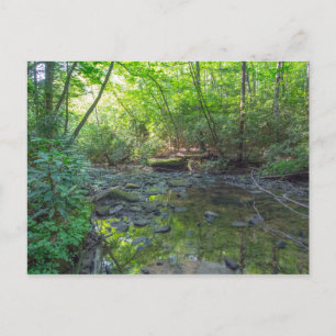 Dog Slaughter Creek, Kentucky Briefkaart