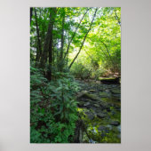 Dog Slaughter Creek, Kentucky Poster (Voorkant)