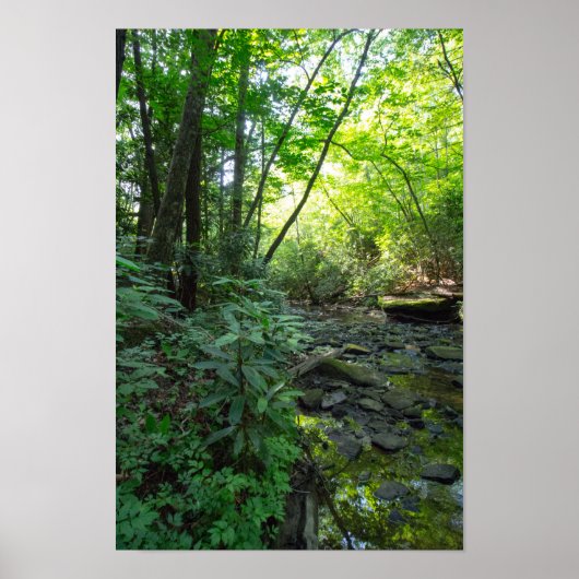 Dog Slaughter Creek, Kentucky Poster (Voorkant)