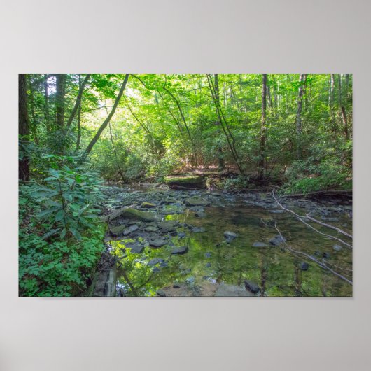 Dog Slaughter Creek, Kentucky Poster (Voorkant)