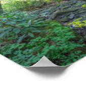 Dog Slaughter Creek, Kentucky Poster (Hoek)