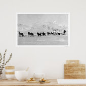 Dog Sled Champions Alaska 1910 Poster (Keuken)