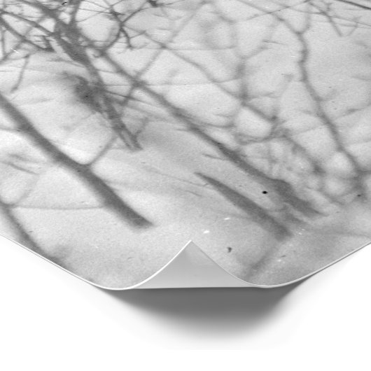 Dog Sled Delivery: 1900 Poster (Hoek)