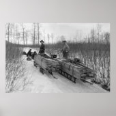 Dog Sled Delivery: 1900 Poster (Voorkant)
