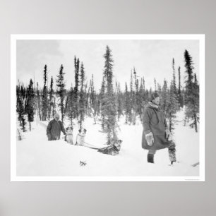 Dog Sled Mannen Fairbanks 1920 Poster