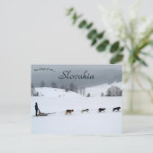 Dog Sled Team in Winter in Slovakia Briefkaart (Staand voorkant)