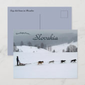 Dog Sled Team in Winter in Slovakia Briefkaart (Voorkant / Achterkant)