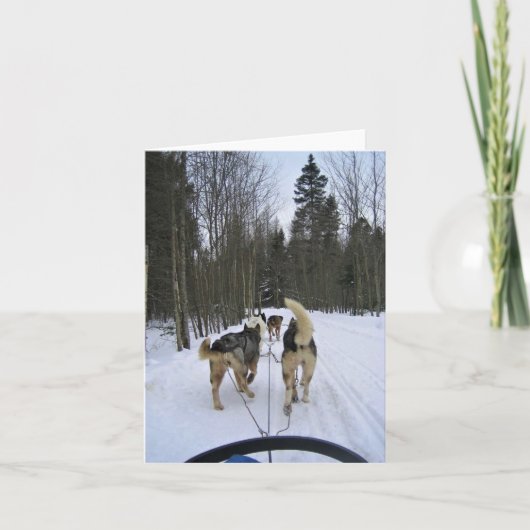 Dog Sledding in Quebec, Canada Bedankkaart (Voorkant)