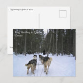 Dog Sledding in Quebec, Canada Briefkaart (Voorkant / Achterkant)