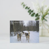 Dog Sledding in Quebec, Canada Briefkaart (Staand voorkant)